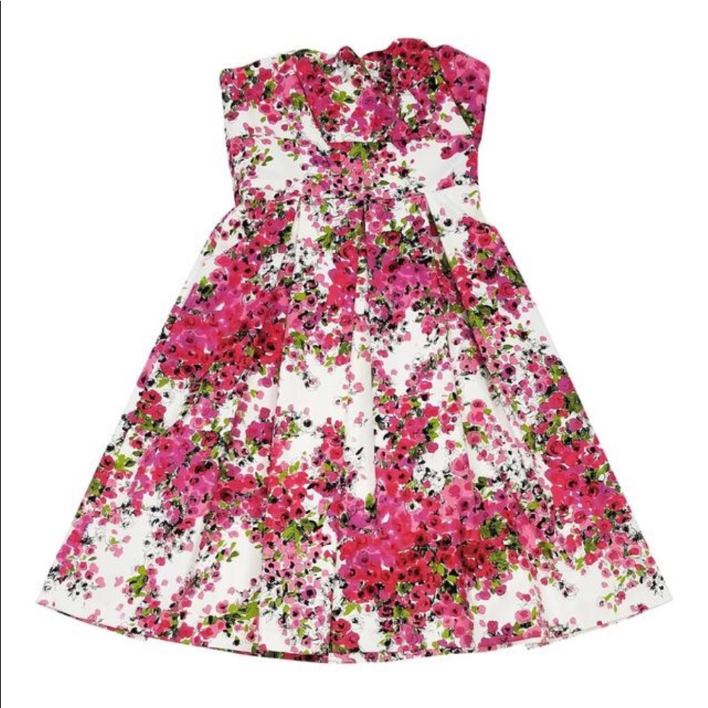 David Meister Floral Spring Dress